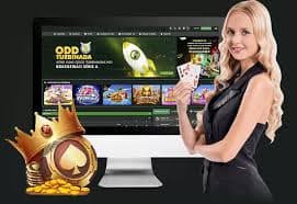 zbz bet